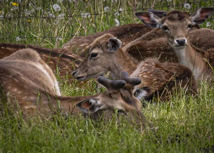Ztraceny Mlyn Pensjonat